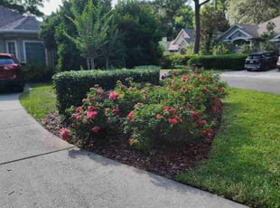 Matt W.'s Bush Trimming service result