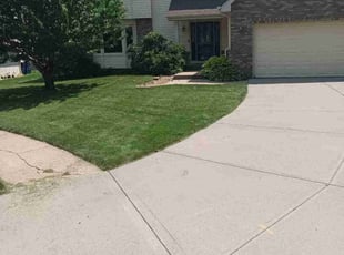 Donte L.'s grass cutting service result