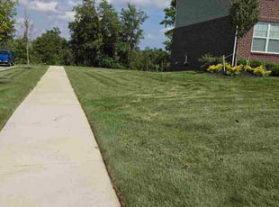 Michelle H.'s lawn maintenance service result