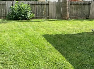 Hina C.'s lawn care service result