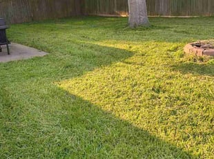 Kim J.'s lawn maintenance service result