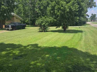Carole M.'s lawn care service result