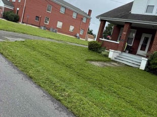 Brooke B.'s lawn service service result