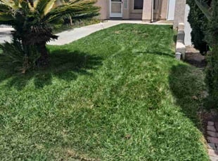 Griselda N.'s lawn service service result