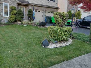 Seth B.'s turf care service result