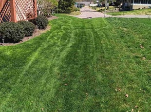 Gloria b.'s turf maintenance service result