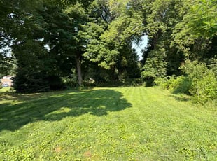 Elizabeth S.'s grass maintenance service result