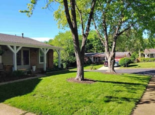 Mark E.'s grass cutting service result