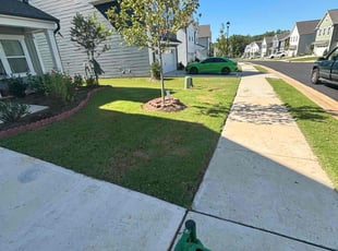 Emily R.'s lawn maintenance service result