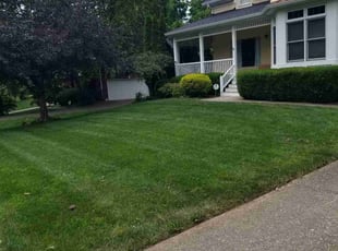 Robert H.'s lawn care service result