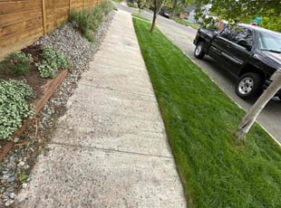 Chris S.'s lawn service service result