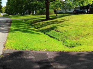 Jahshanti H.'s lawn service service result