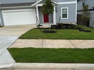 Mandy L.'s grass maintenance service result