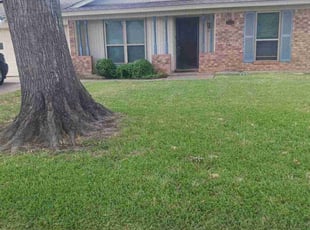 Caitlin F.'s lawn care service result