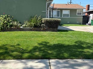 Judy B.'s turf maintenance service result