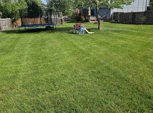 Brad F.'s turf care service result