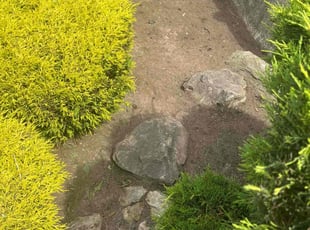 Brodey H.'s lawn maintenance service result