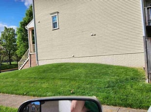 Alex M.'s lawn maintenance service result