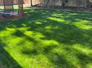 Caitlin H.'s lawn service service result