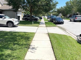 Renice M.'s lawn maintenance service result