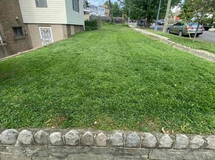 Yvonne S.'s lawn care service result