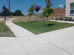 Alfred S.'s lawn service service result