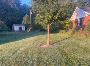 Ajaang D.'s gardening service service result