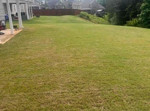 Jacob C.'s lawn care service result
