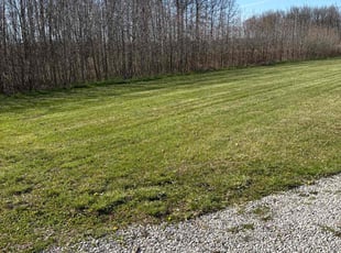 Toneya P.'s turf care service result