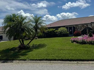 Larissa R.'s turf maintenance service result