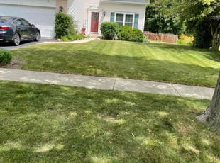 Rodney H.'s lawn maintenance service result