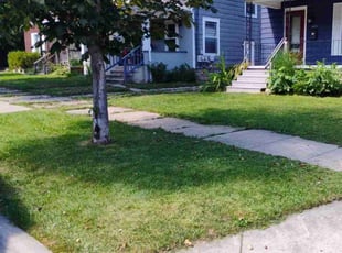 Gary G.'s grass cutting service result