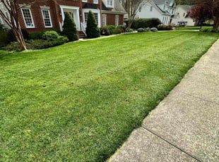 Antion J.'s lawn maintenance service result
