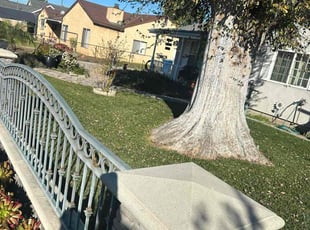 Frank F.'s grass cutting service result