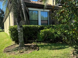 Ken B.'s Bush Trimming service result