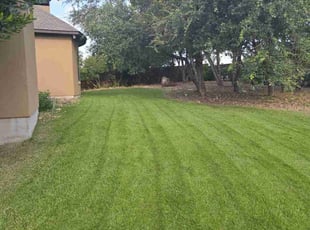 Stephen R.'s lawn service service result