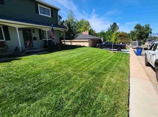 Caity C.'s grass cutting service result