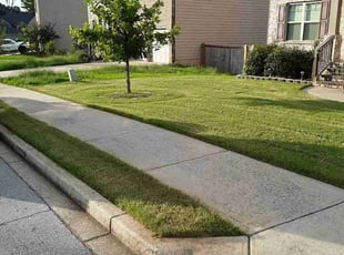 Michael T.'s turf maintenance service result