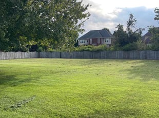 Tim R.'s grass maintenance service result