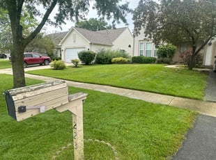 Theresa R.'s turf maintenance service result