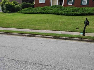 Keith B.'s turf maintenance service result