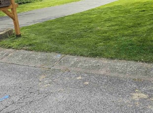 Alex S.'s grass maintenance service result