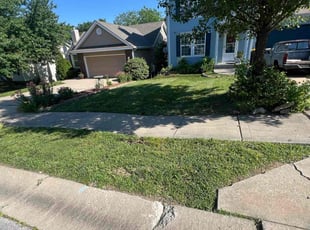 Lisa D.'s yard service service result