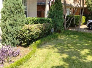 Heather G.'s Bush Trimming service result