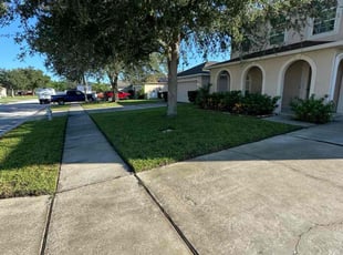 Nikki P.'s lawn care services service result