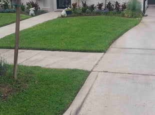 Samuel V.'s lawn care services service result
