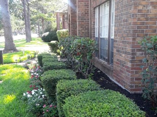 Howard T.'s Bush Trimming service result