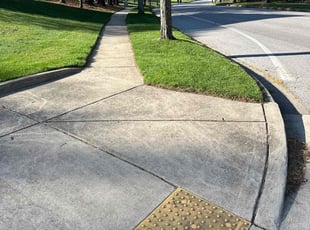 Shishir D.'s grass cutting service result