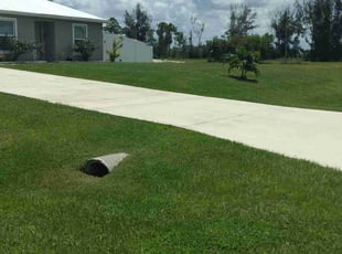 Nina L.'s turf care service result