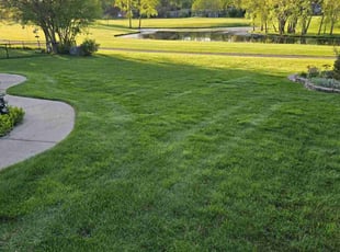 Susan C.'s grass maintenance service result